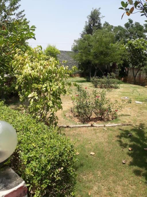 Villa Achal Farm जंगल में मंगल Gurgaon Exterior foto